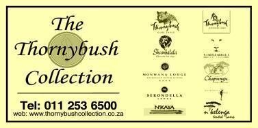 Thornybush Game Lodge