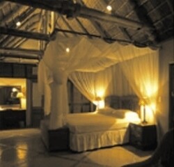 Thornybush Game Lodge