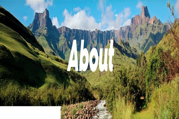 Tourvest Holdings (Pty) Ltd