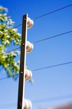 Intrudex Fencing