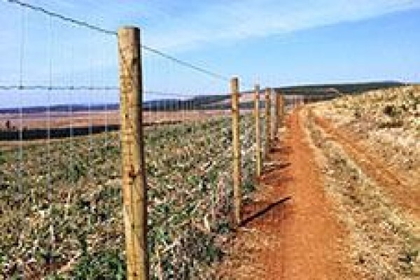 Weld Mesh Fencing Durban