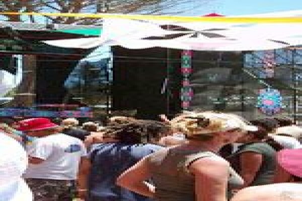 Concert Audio