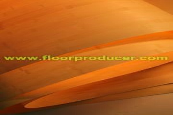 Bamboo Flooring