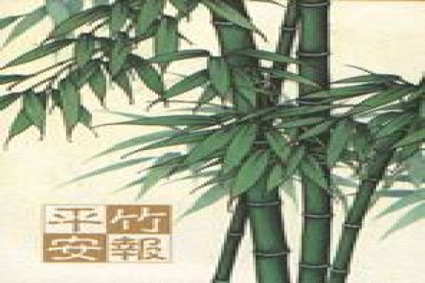 Bamboo Flooring