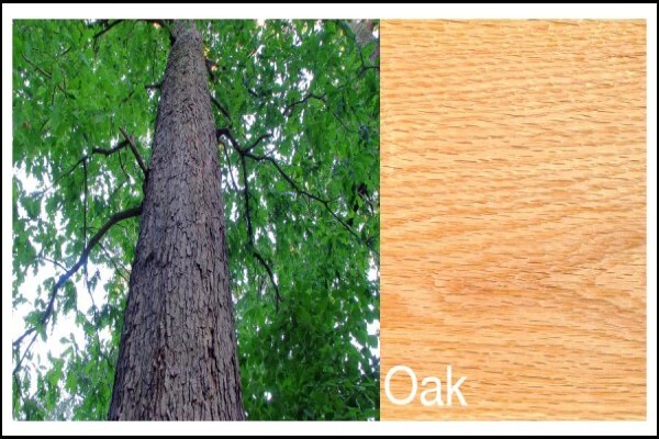 Woodmans Timber Agencies