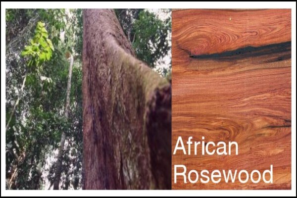 Woodmans Timber Agencies