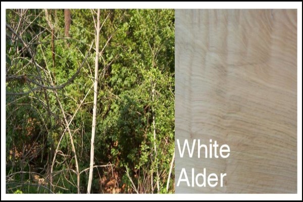 Woodmans Timber Agencies