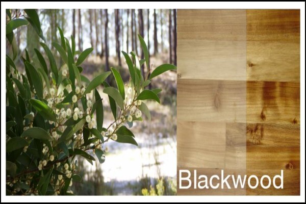 Woodmans Timber Agencies