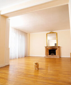 Prestige Floors