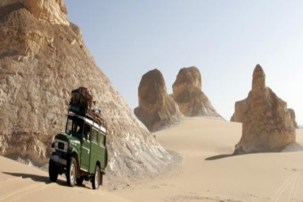 Safari Bus