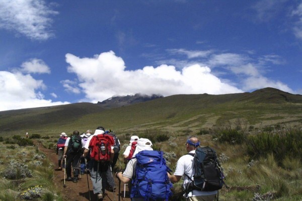 Albatros Travel & Safari's