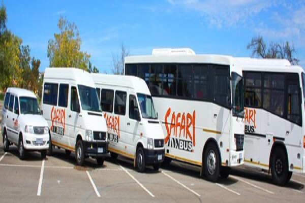 Safari Bus