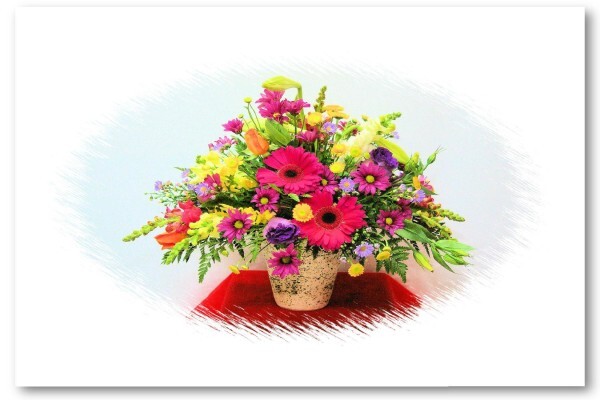 Floral D'Light Edenvale