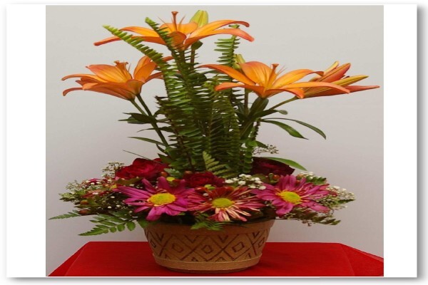 Floral D'Light Edenvale