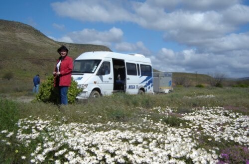 Wild Flower Tours