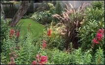 Flower Power Gardens