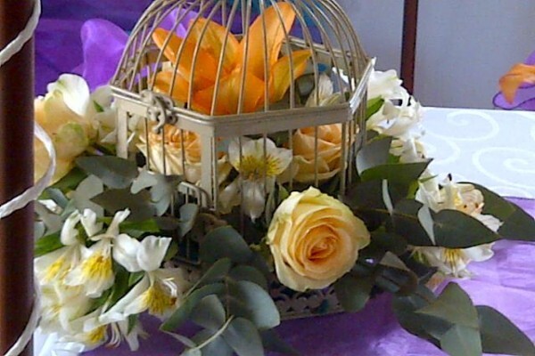 Sa School Of Floristry