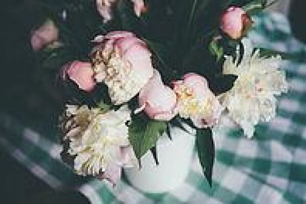 The Bloom Room Flowers