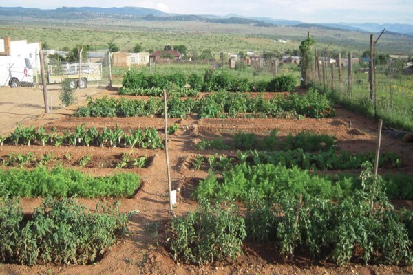 Reel Gardening