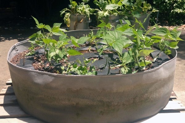 Reel Gardening