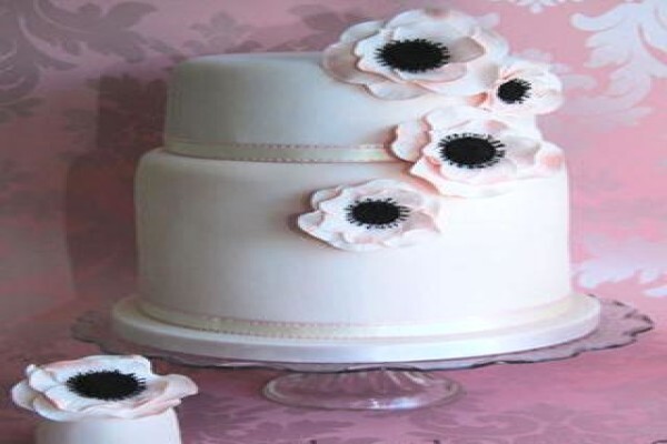 Wedding Cakes By Suzette