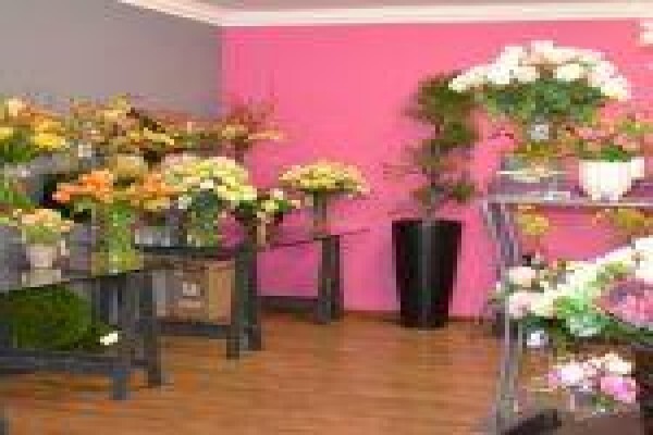 Silk Rentals