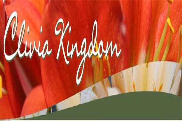 Clivia Kingdom