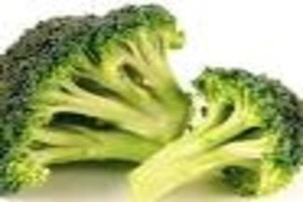 Mdseedlings