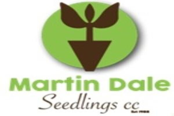 Mdseedlings