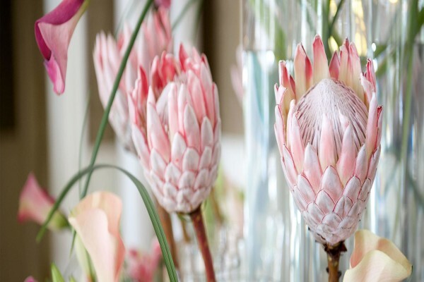 Sa Wedding Decor