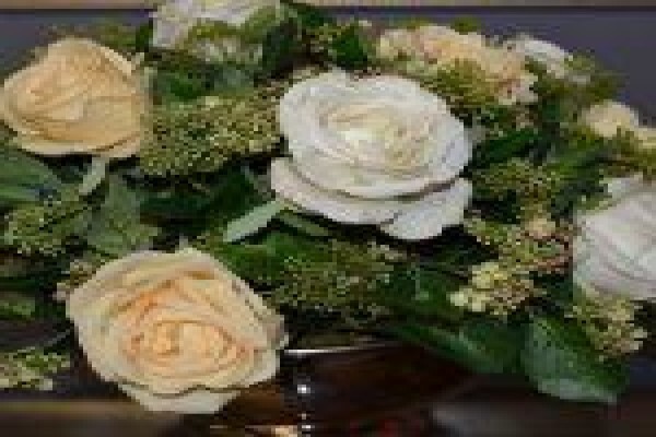 Silk Rentals