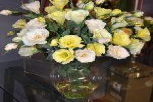 Silk Rentals