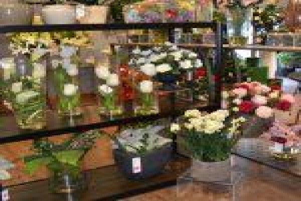 Silk Rentals