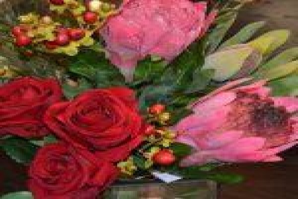 Silk Rentals