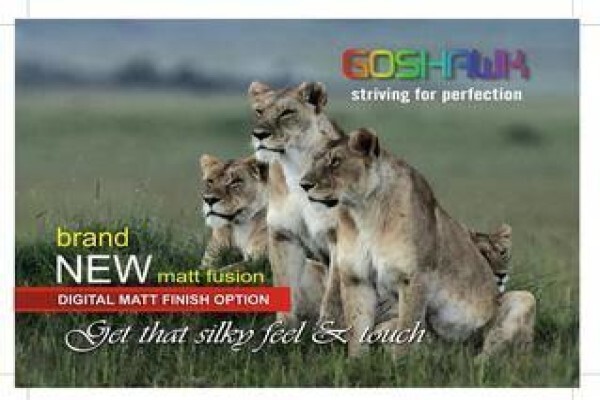Goshawk Litho Printers - Port Elizabeth