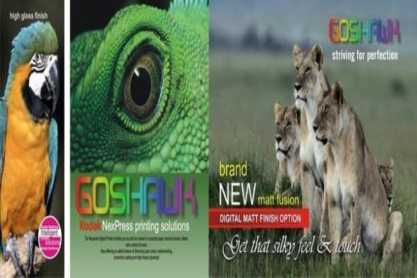 Goshawk Litho Printers - Port Elizabeth