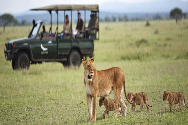African Welcome Safaris