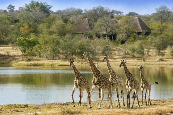 African Welcome Safaris