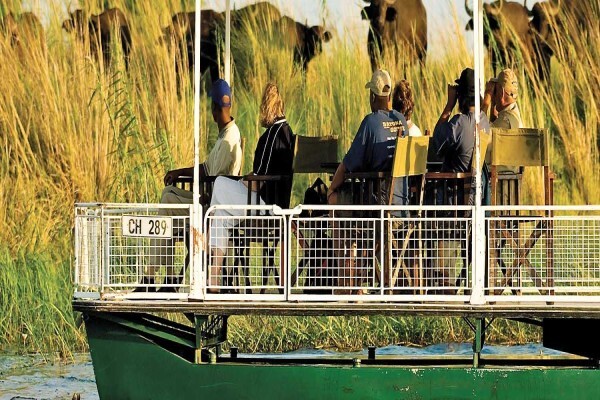 African Welcome Safaris