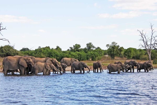 African Welcome Safaris