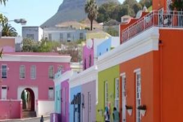 Window Tours & Transfers