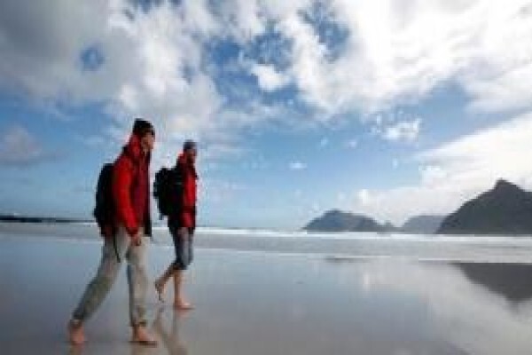 Window Tours & Transfers