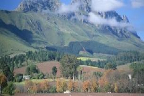 Window Tours & Transfers