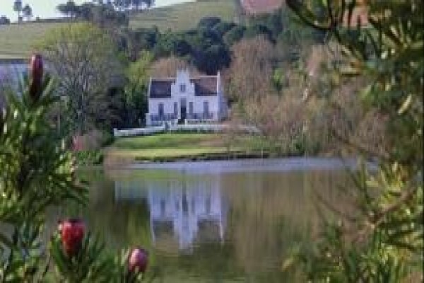 Window Tours & Transfers