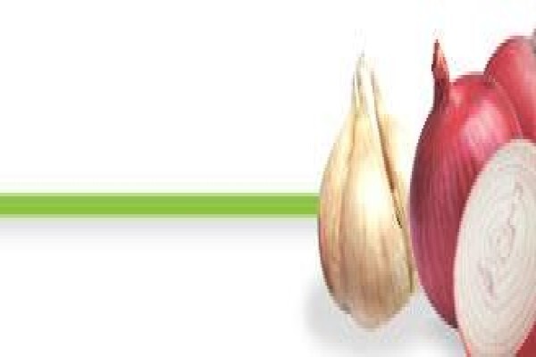 Avedia Foods