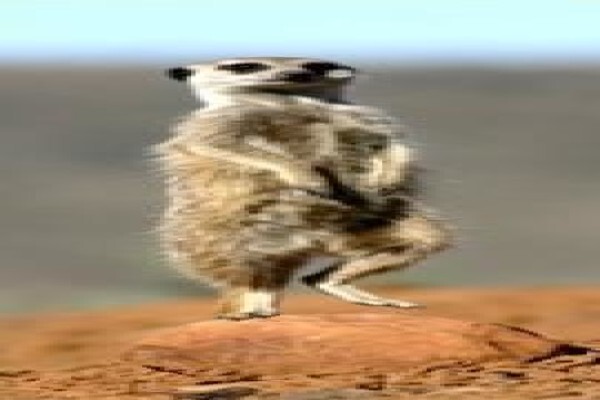 Karoo Connections