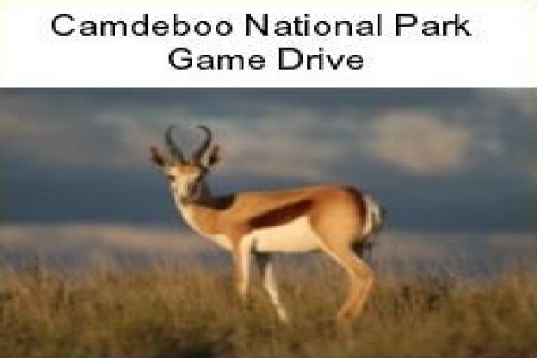 Karoo Connections