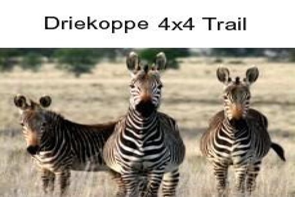 Karoo Connections