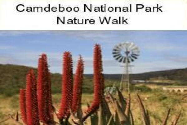 Karoo Connections