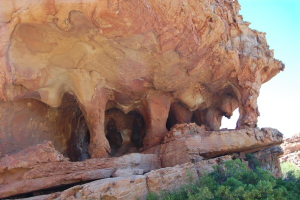 Landscape Tours